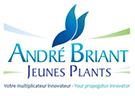 logo André Briant - Jeunes plants