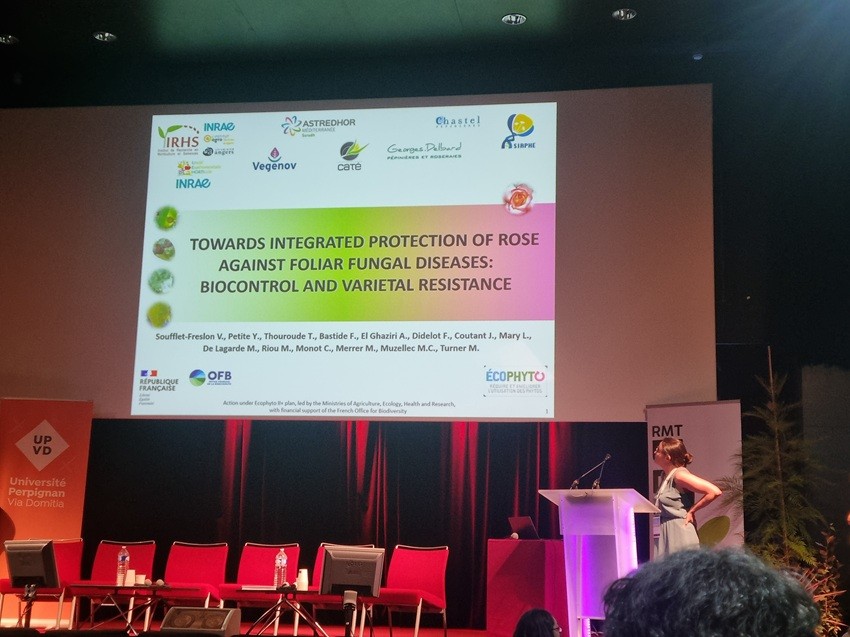 Communication orale ROBIO 2025