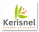 logo Kerisnel